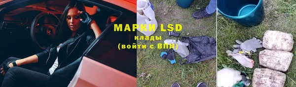 спиды Каменногорск