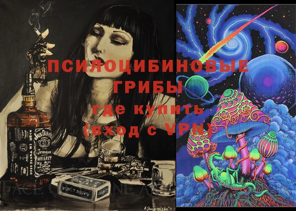 прущие грибы Каменск-Шахтинский
