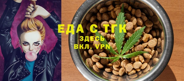 спиды Каменногорск
