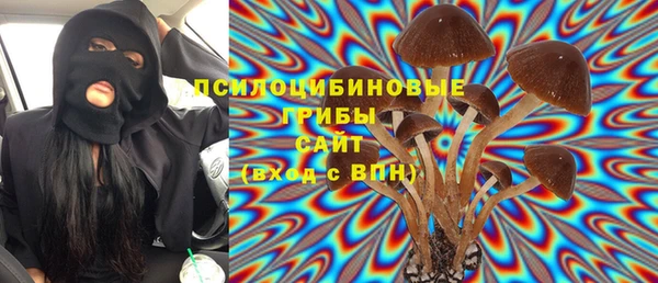прущие грибы Каменск-Шахтинский