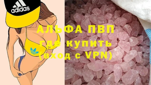 прущие грибы Каменск-Шахтинский
