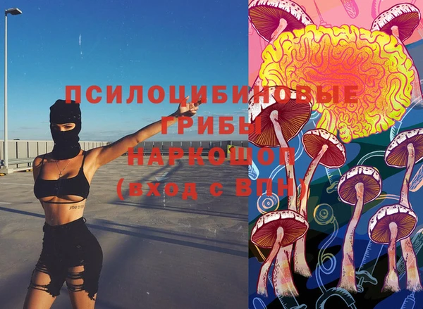 спиды Каменногорск