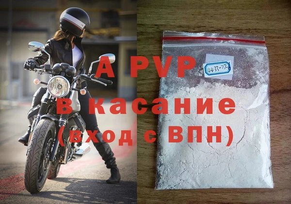 прущие грибы Каменск-Шахтинский