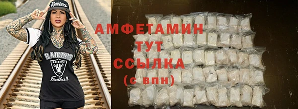 спиды Каменногорск