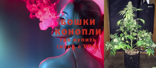 спиды Каменногорск