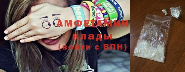 прущие грибы Каменск-Шахтинский