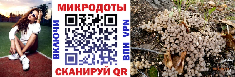 Псилоцибиновые грибы Cubensis  Купить где  Губкинский 